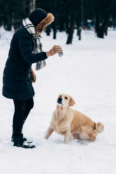 Изображение девушки и лабрадора в зимнем парке для прогулки — стоковое фото