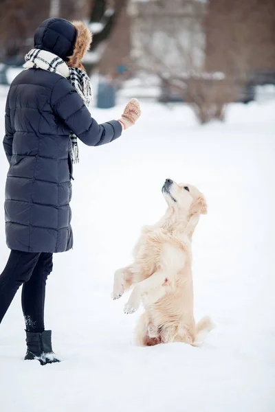 Фото молодой женщины в черной куртке, играющей с собакой в снежном парке — стоковое фото