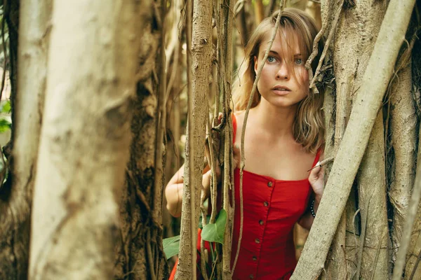 Mujer en vestido rojo sobre fondo de troncos de árbol a pie — Foto de Stock