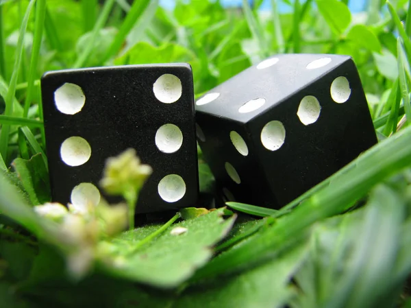 Zar çimenlerde yatıyor.