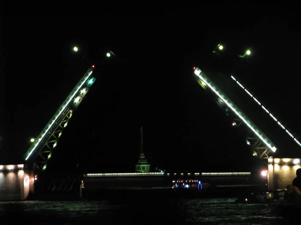 Palastbrücke in der nacht. petersburg. — Stockfoto