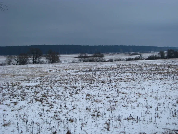 Kış manzarası. Açık alanda bulutlu bir akşam.
