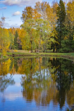 Güneşli bir sonbahar parkta gölet