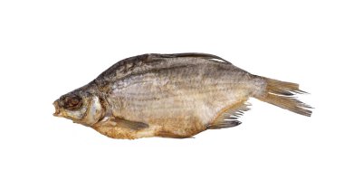 Beyaz arka planda tuzlanmış hamamböceği ya da vobla. İzole edilmiş.