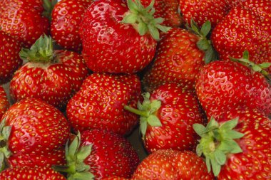 Kırmızı olgun bahçe çilek closeup bir sürü