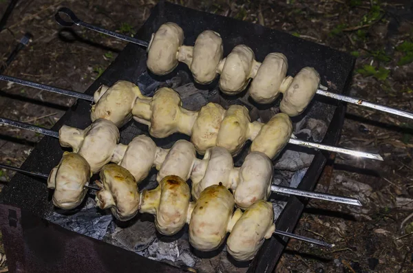 Fried champignon mushrooms. grilled champignons — Stock Photo, Image