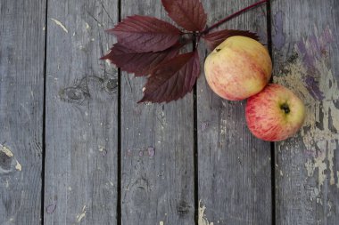 Dış planda çizgili elmalar. Boşluğu kopyala