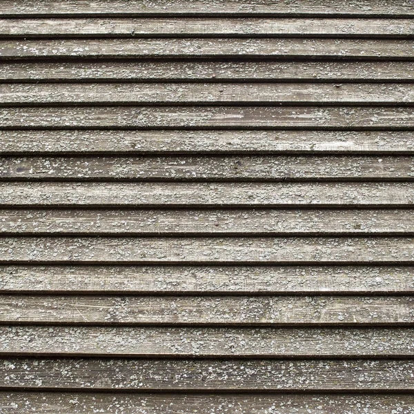 Old gray brown beige wooden surface with peeling paint and horizontal lines. rough texture — Stock Photo, Image