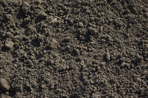 The soil — Stock Photo, Image