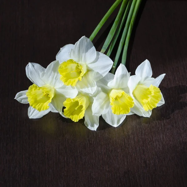 Buquê de narcisos em um fundo escuro. postal com narcisos. fundo floral com flor de primavera — Fotografia de Stock