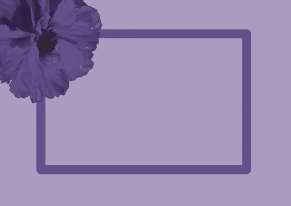 Šablona pro text s květinami — Stock fotografie