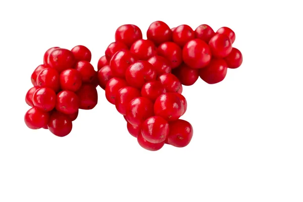 Schisandra chinensis veya beş aromalı böğürtlen. Taze kırmızı olgun dut beyaz arka planda izole edilmiş. seçici odak