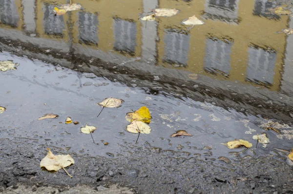 Autumn in the city, puddle in the alley strewn with fallen leaves. View from puddles on the pavement level — Stock Photo, Image