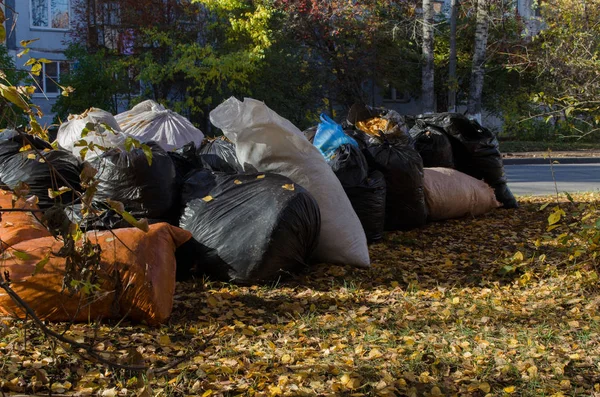 Sonbaharda yeşillik paketleri