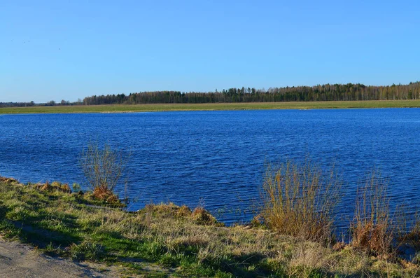 Jezero na jaře v květnu — Stock fotografie