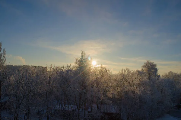 Winter view from the window in the frosty morning — стоковое фото