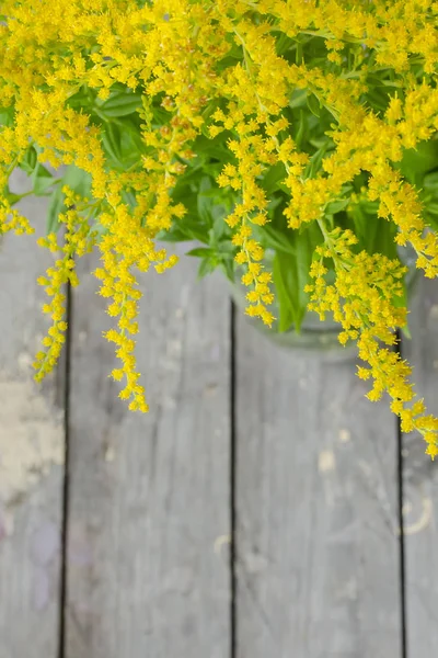 木製の背景にボトルのSolidago canadensisin — ストック写真