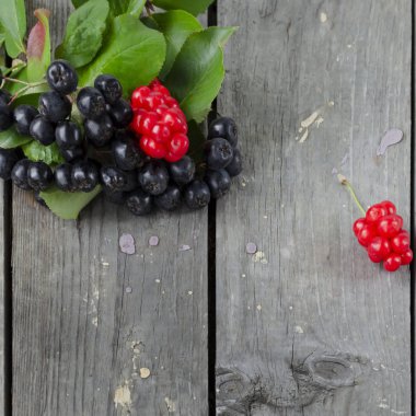 Schisandra chinensis veya beş aromalı böğürtlen. Aronia ya da boğuk dut. Taze kırmızı ve siyah olgun böğürtlen ahşap bir arka planda.