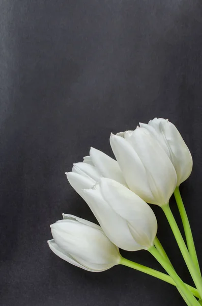 Bouquet of tulips on a dark background — Stock Photo, Image