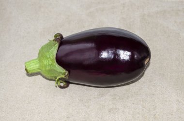 Ağaç Çiğ Organik Patlıcan Çuval Bezi