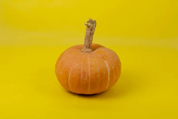 Halloween Kürbisdekorationen Auf Gelb Orangefarbenem Hintergrund — Stockfoto