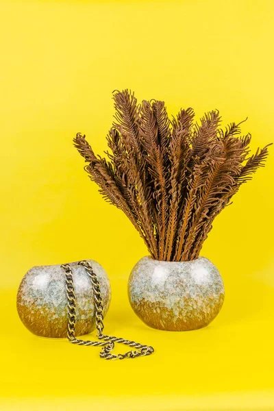 Getrocknete Farnblätter Ähneln Federn Der Vase Und Perlen Auf Gelbem — Stockfoto