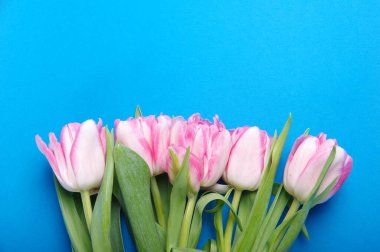 Siyah arkaplanda pembe kırmızı laleler - Yatay