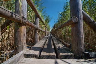 Korkuluk ile yaya ahşap yaya köprüsü gölde kuru sazlık geçer, sığ su her yerinde