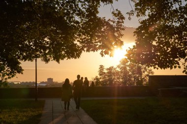 Yalnız ağaç silueti açık alanda gün batımında canlı turuncu