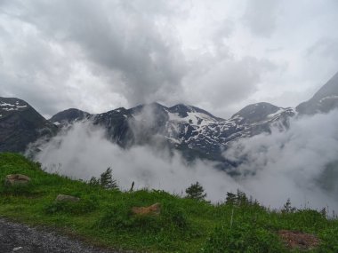 Dağdan ormanın manzarası. Sis. Alpler