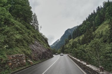 Ormandaki asfalt yolda. Dağlara giden yol. Alpen yolu