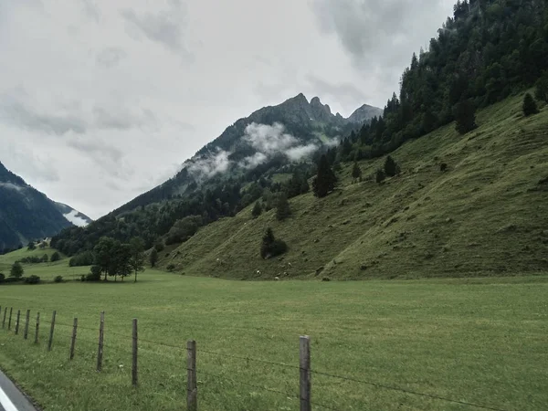 Asfaltová cesta v lese. Cesta do hor. Alpen road — Stock fotografie