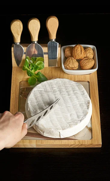 Brie soort kaas. Camembert kaas. Rust van brie kaas op houten plaat met noten — Stockfoto