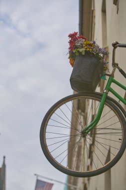 Flower on a bicycle on wall.