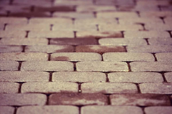 Fundo abstrato de pedra calçada estrada fazendo a partir de blocos de cimento — Fotografia de Stock