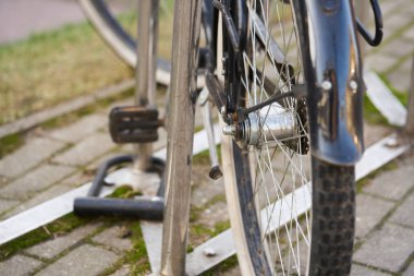 Rear view of bicycle on parking