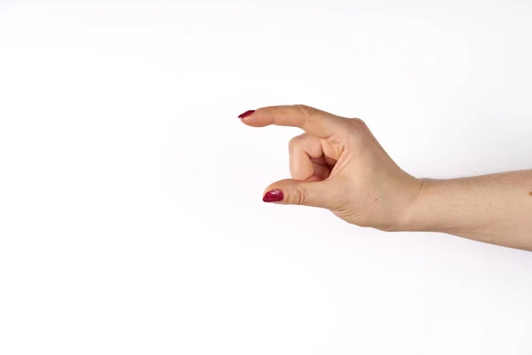 Woman hand sign isolated on white background. Middle size — ストック写真