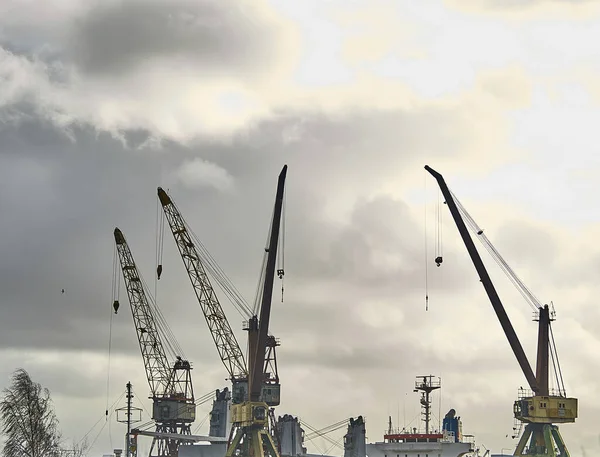 工業港の貨物クレーン — ストック写真