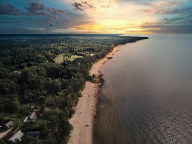 Kumsalın ve dalgalı okyanusun havadan görünüşü.
