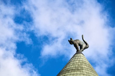 Kedi ve derin gökyüzü. Tasarım elementi