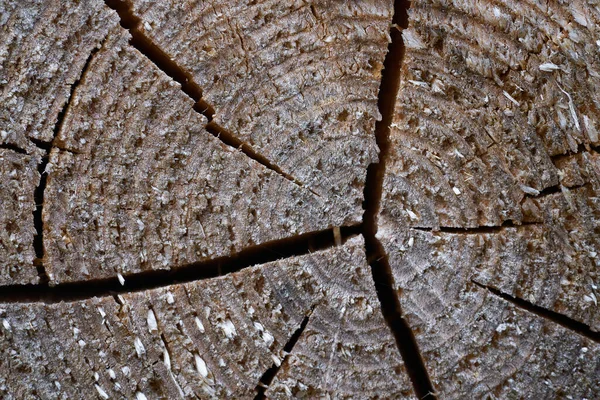 Tree rings old weathered wood texture with the cross section of a cut log.