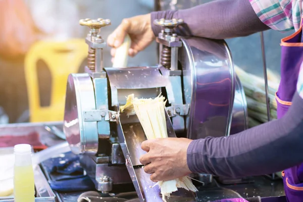 Adam taze, organik meyve suyu yapmak için el sıkacağı ile şeker kamışı sıkıyor. Sağlıklı ürün.