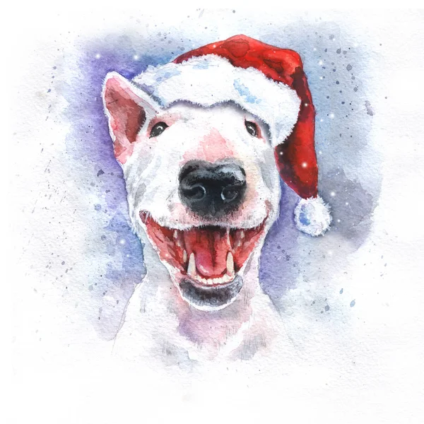 Kartka Świąteczna Boże Narodzenie akwarela Bullteriera jasne i kolorowe ręcznie rysowane — Zdjęcie stockowe