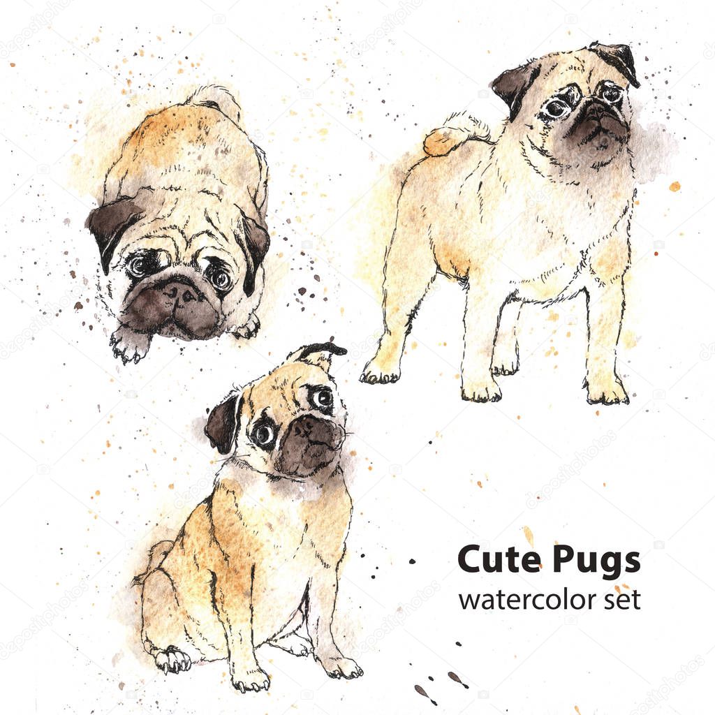Watercolor hand-drawn bright-colored Cute pugs 