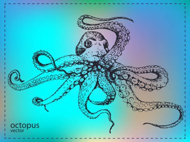 Elle çizilmiş büyük deniz ahtapot 