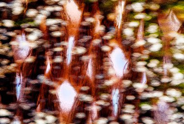 Doğal doku ve düzensiz arka plan