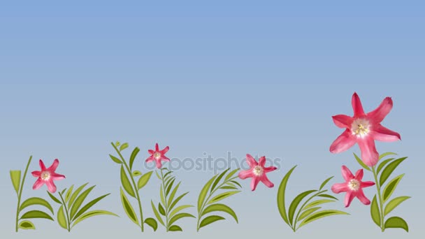 Blommor animation bakgrund. 4k upplösning — Stockvideo
