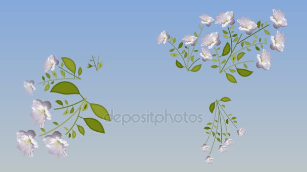 Priorita Bassa Di Animazione Dei Fiori 4k Risoluzione Video Stock C Paulmalaianu 139717958