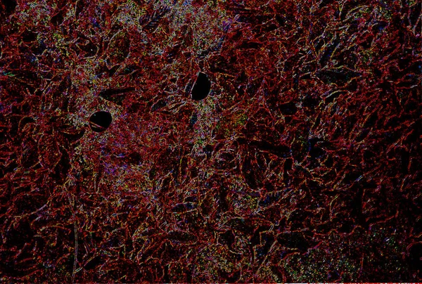 Donkere Achtergrond Met Natuurlijke Textuur Onregelmatige Patroon — Stockfoto