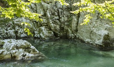 Manzara Gilort Nehri'nin üst rotasında, Gorj, Romanya